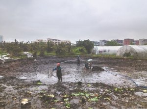 阿拉尔河道鱼塘清淤